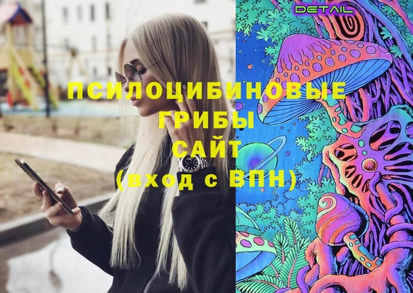 apvp Арсеньев