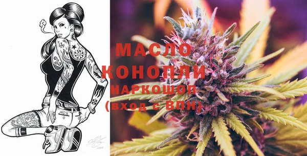 крисы Армянск