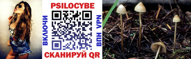 Галлюциногенные грибы Magic Shrooms  гидра как войти  Калязин 